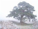 Liban_02