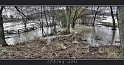 Liban_29