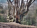 Liban_39