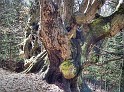 Liban_41