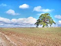 Liban_42