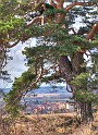 Liban_43