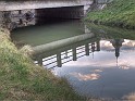 Liban_59