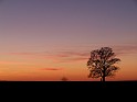 Liban_71