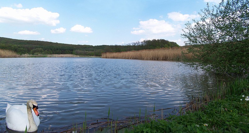 Liban_panoramas_21.jpg