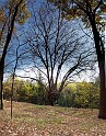 Liban_panoramas_13