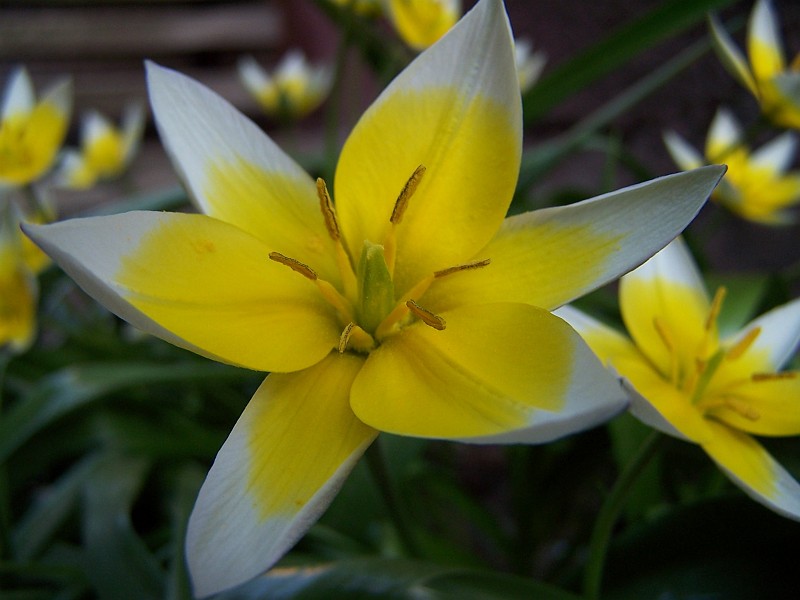 Plant_04.jpg